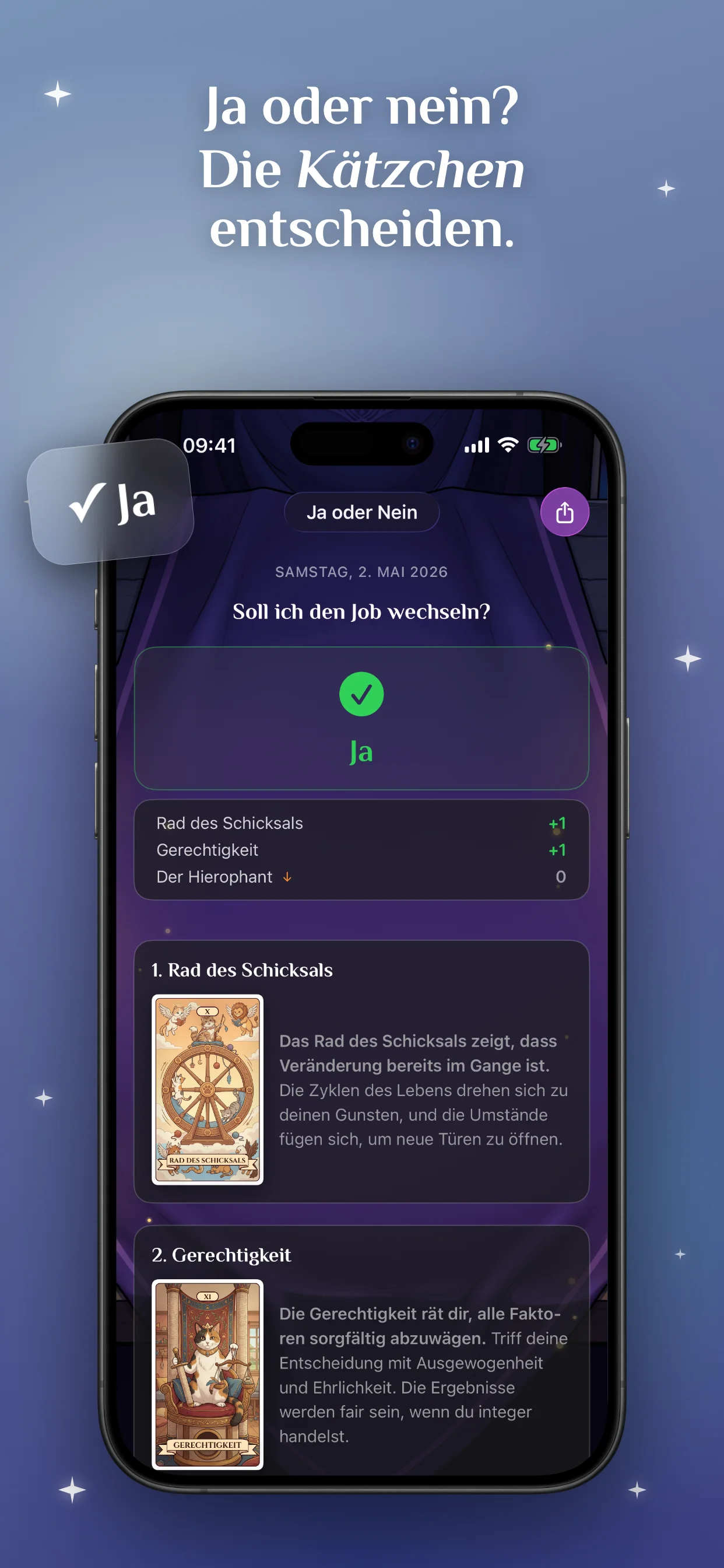 Ja oder nein? Die Kätzchen entscheiden.