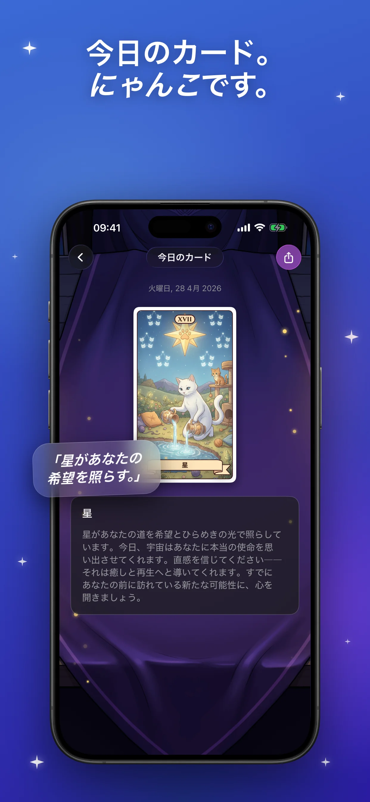 今日のカード。 にゃんこです。