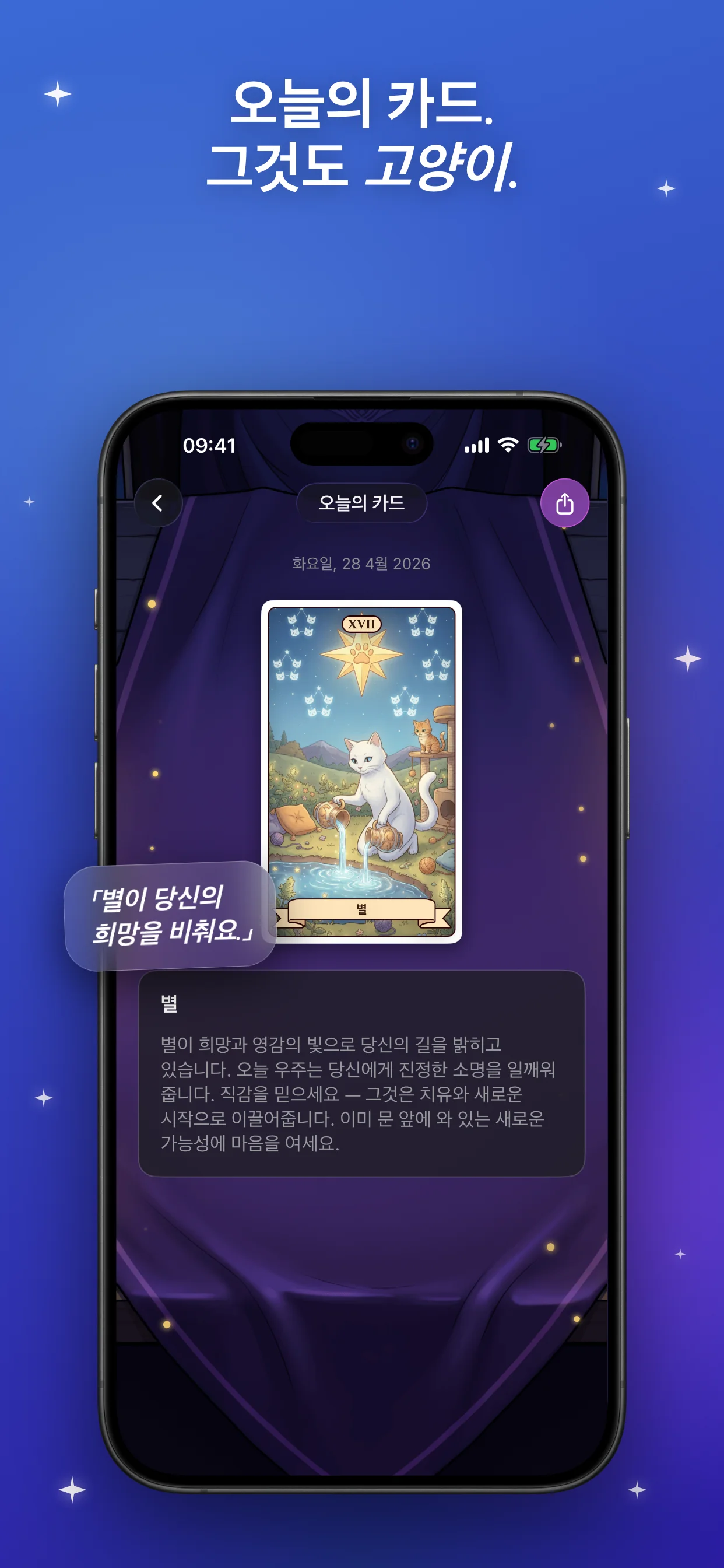 오늘의 카드. 그것도 고양이.