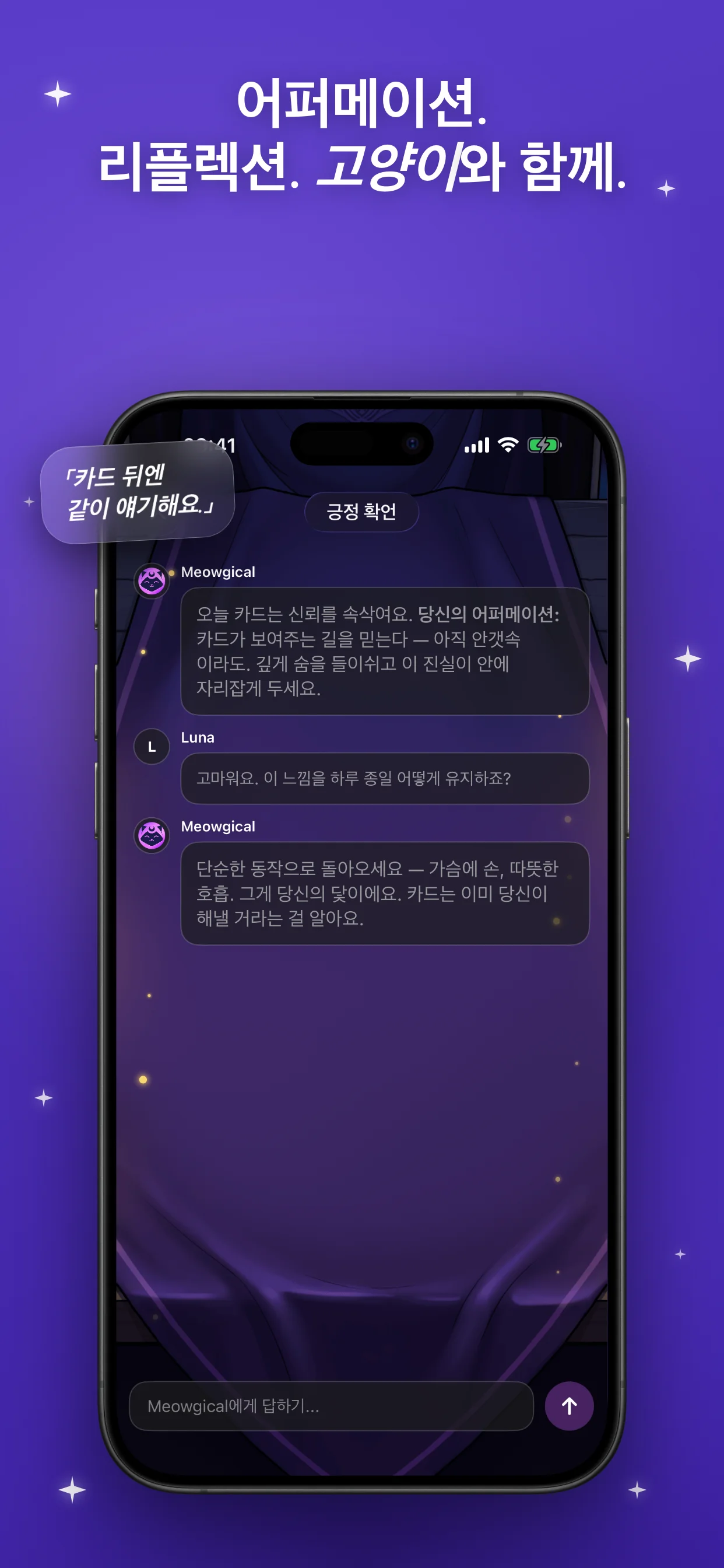 어퍼메이션. 리플렉션. 고양이와 함께.
